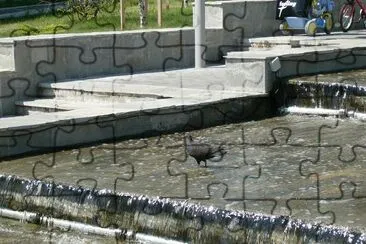 Fountain (Submitted by Silvia Dlt) jigsaw puzzle