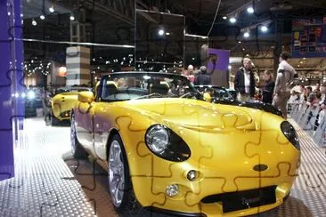 TVR Tamora jigsaw puzzle