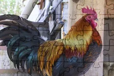 Fowl jigsaw puzzle