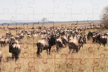 Gnu jigsaw puzzle