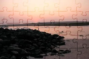 The Galapagos jigsaw puzzle