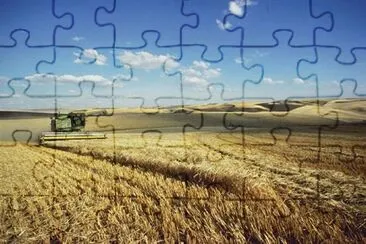 Barley harvest in Washingtons Palouse Hills jigsaw puzzle