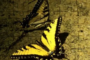 Tiger Swallowtail Butterfly jigsaw puzzle