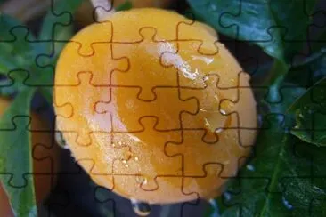 Passion fruit jigsaw puzzle