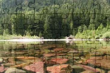 Forest and a stream jigsaw puzzle