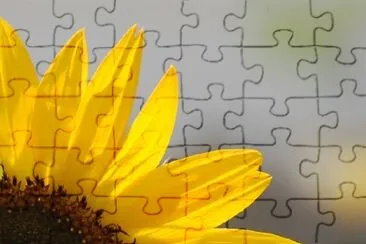 A Sunflower jigsaw puzzle