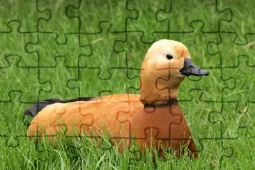 Duck jigsaw puzzle