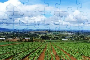 Landscape, New Zealand jigsaw puzzle