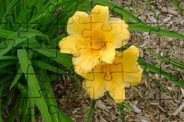 Yellow Lilies jigsaw puzzle