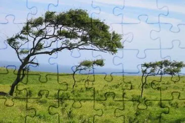 Trees in the wind jigsaw puzzle