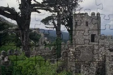 Anciens murs du château