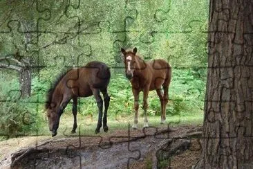 Two Brown Horses jigsaw puzzle