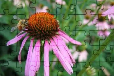 Two bees jigsaw puzzle