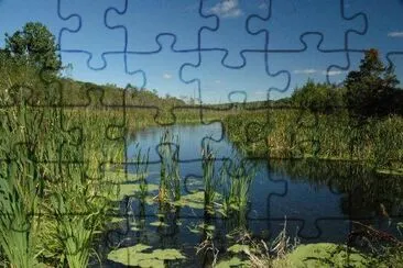 Along the river jigsaw puzzle