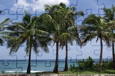 Palms jigsaw puzzle