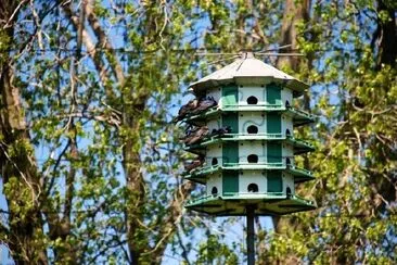 Bird House jigsaw puzzle