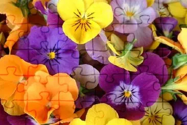 Spring Flowers jigsaw puzzle