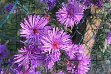 Purple Flowers jigsaw puzzle