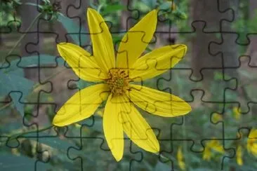 Yellow Flower jigsaw puzzle