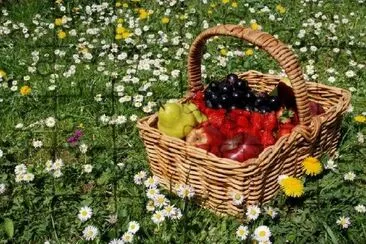 Basket Full of Fruits jigsaw puzzle