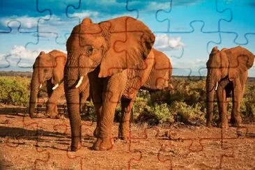 African Elephants Against a Blue Sky jigsaw puzzle