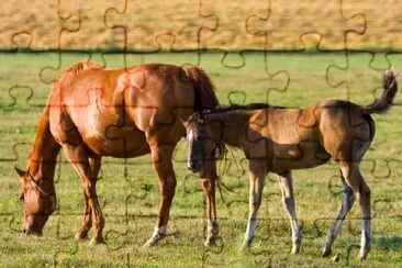 Horses at Dusk jigsaw puzzle