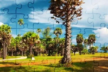 Jungle Park jigsaw puzzle