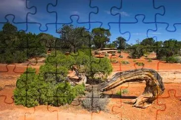 Colorado National Monument jigsaw puzzle