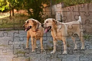 Dogs Guarding jigsaw puzzle