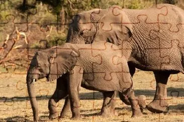 Wild African Elephant Baby jigsaw puzzle