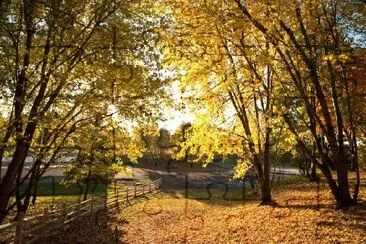 Fall in Ontario, Canada jigsaw puzzle