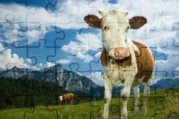 Austrian Cow jigsaw puzzle