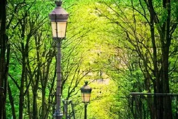 Trees in Montmartre, Paris, France jigsaw puzzle