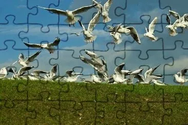 Scavaging Birds jigsaw puzzle