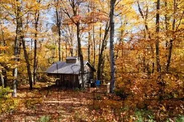 A Cabin in the Woods jigsaw puzzle