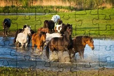 Running Horses jigsaw puzzle