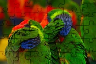 Camera Shy Birds jigsaw puzzle