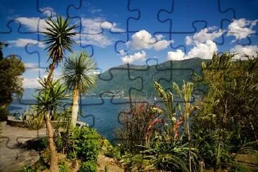 Palm Trees and Mountains jigsaw puzzle