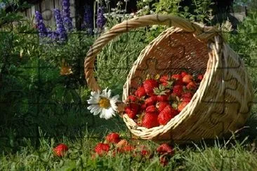 A Basket with Strawberries jigsaw puzzle