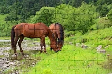 Two Horses Grazing  jigsaw puzzle