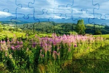 Summer Mountain Country View jigsaw puzzle