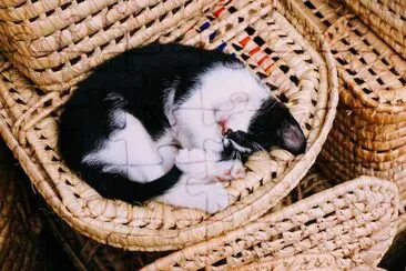 Sleeping Kitten jigsaw puzzle