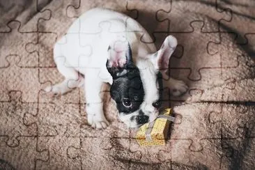 Puppy Present jigsaw puzzle