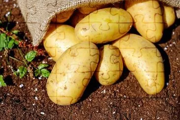 Mixed Potatoes jigsaw puzzle