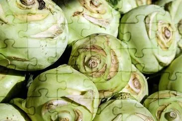 Kohlrabi Festival jigsaw puzzle