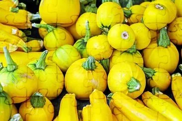 Yello Zucchini jigsaw puzzle