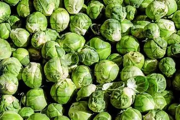 Lots of Cabbage jigsaw puzzle