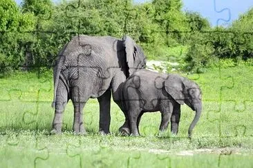 Elephant at Botswana jigsaw puzzle