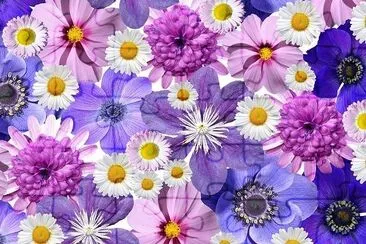 So Many Flowers jigsaw puzzle