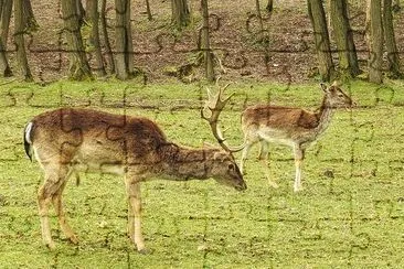 Hirsch in the Woods jigsaw puzzle